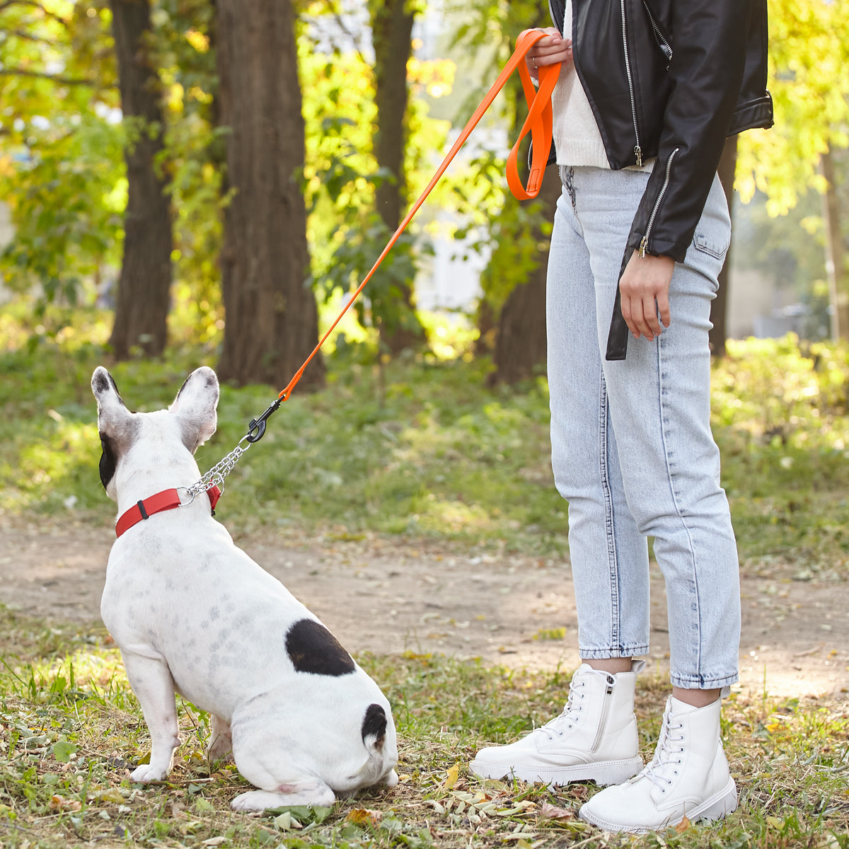 Biothane Waterproof Dog Leash, 4 ft