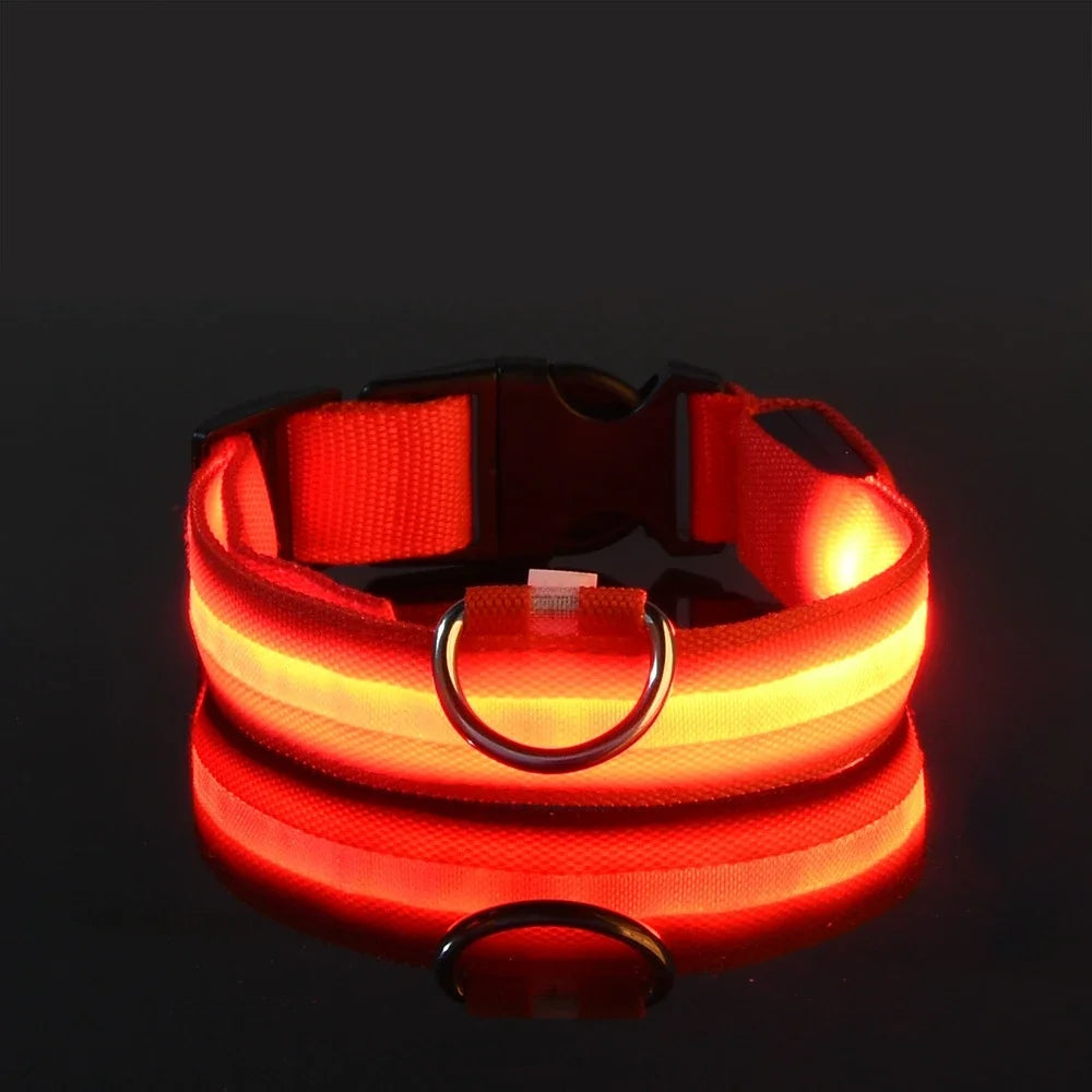 Dog or Cat Collar Nylon LED Night Safety Flashing Glow In The Dark