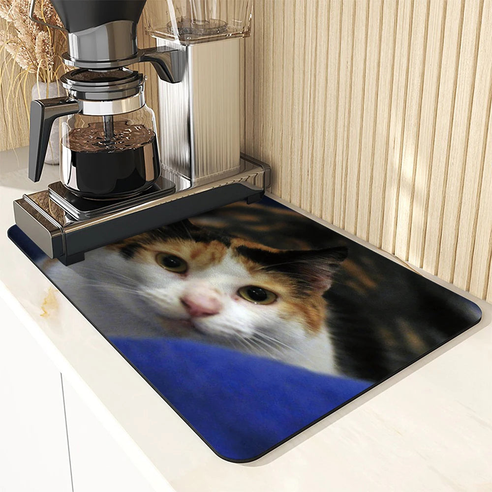 Super Absorbent Anti Skid Large Kitchen Absorbent Cat Mat