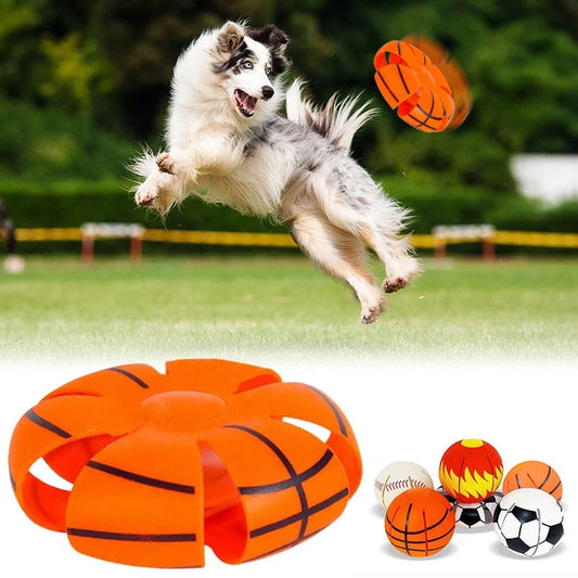 Plastic Dog Flying Saucer Toy