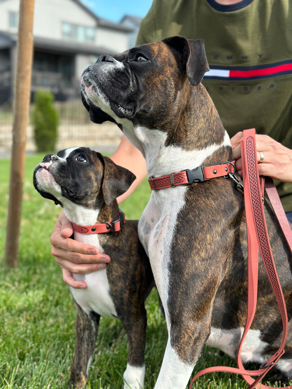 Celtic Sport Coral Reef Leather Dog Leash