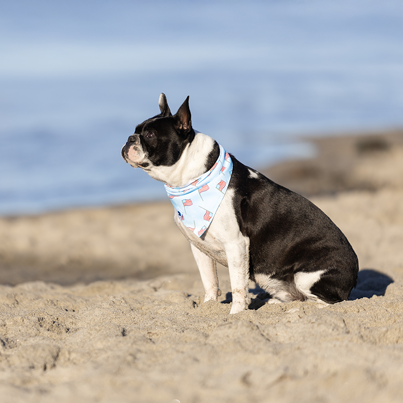 USA Dog Bandana