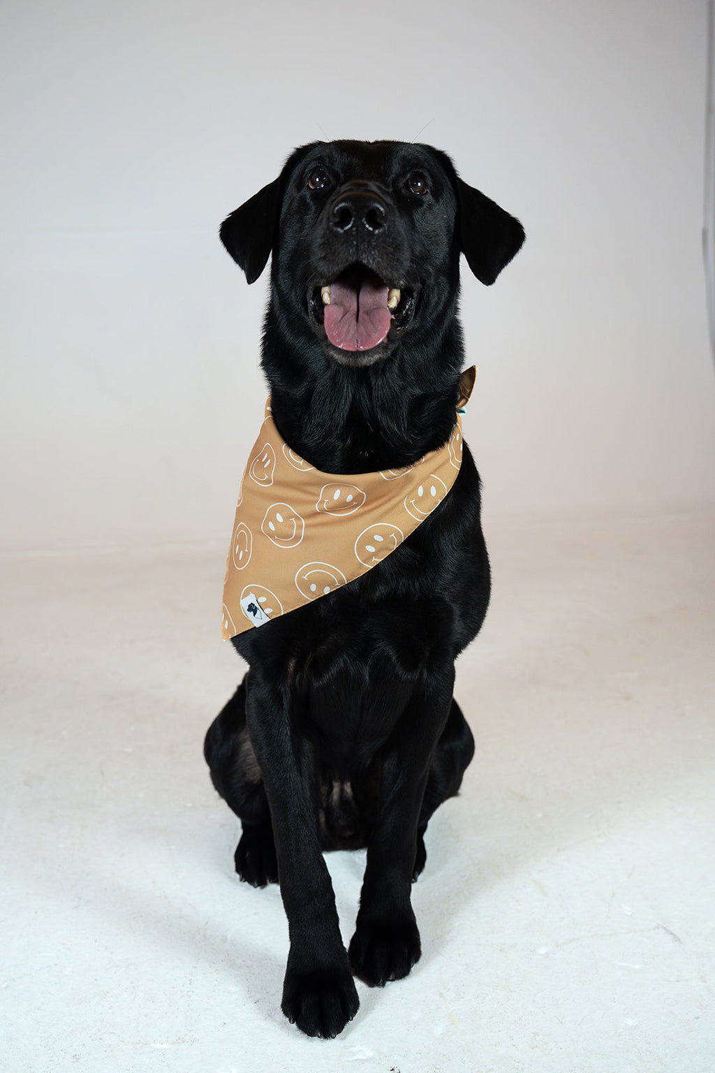 Smiles Dog Bandana