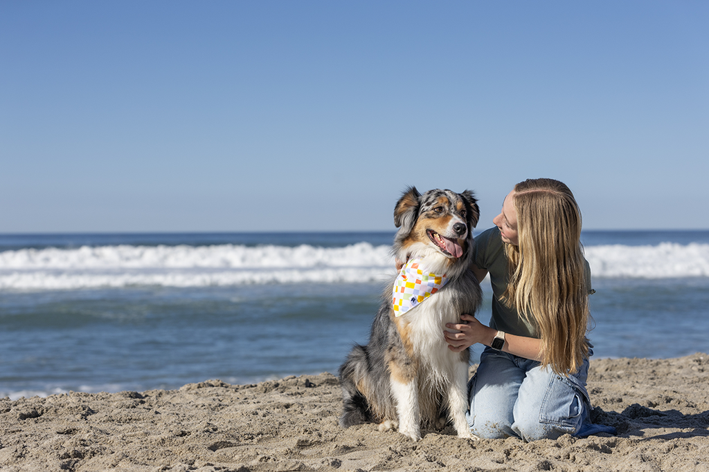 Popsicle Dog Bandana