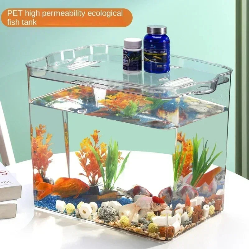 Transparent Acrylic Ornamental Fish Tank