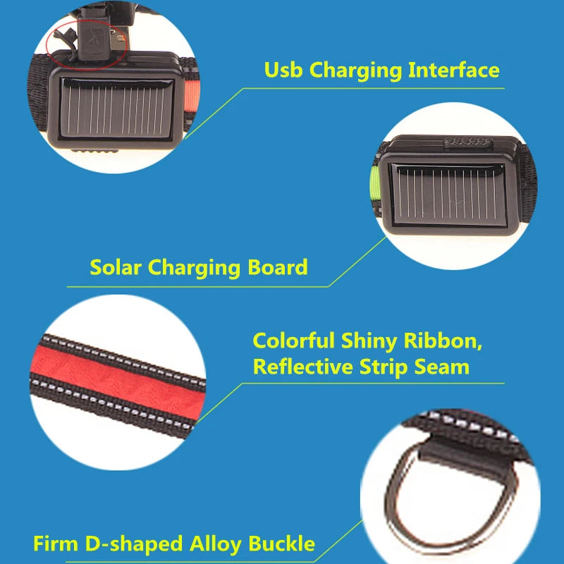 Solar Charging or USB Led Dog Collar - Love My Pet