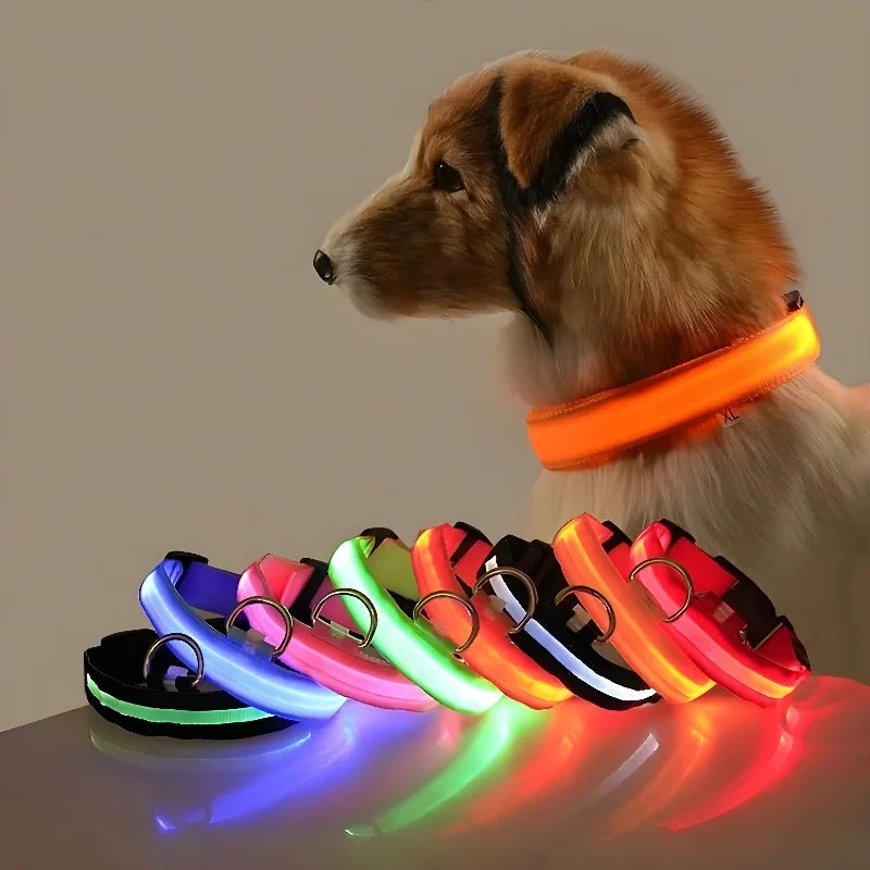 Dog or Cat Collar Nylon LED Night Safety Flashing Glow In The Dark