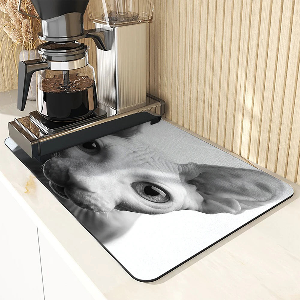 Super Absorbent Anti Skid Large Kitchen Absorbent Cat Mat