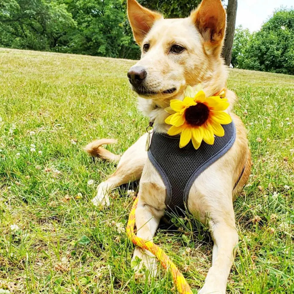 Adjustable Sunflower Pet Collar Accessory Set