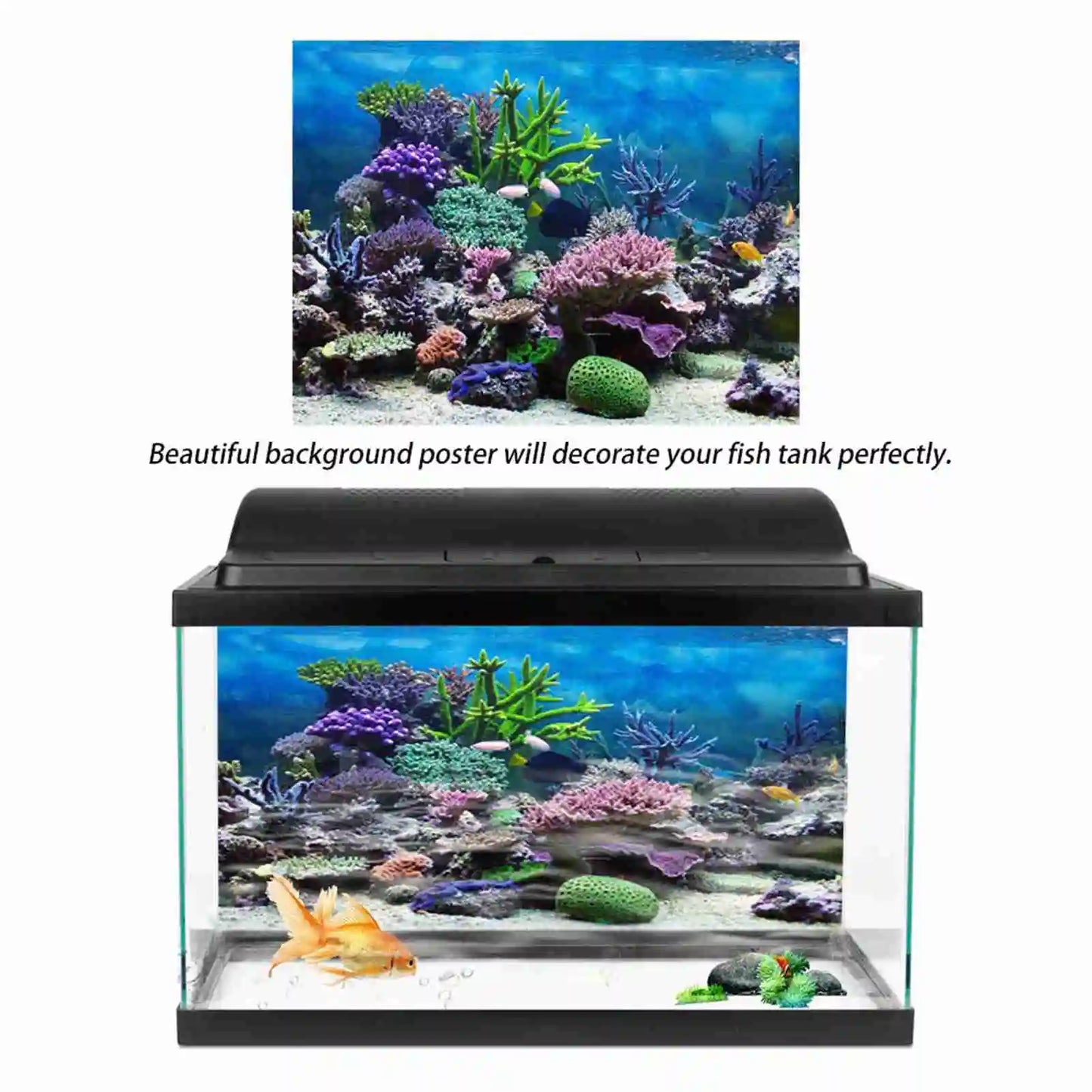 Aquarium Landscape Wallpaper Fish Tank Background