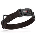 Nylon Flat Dog Collar