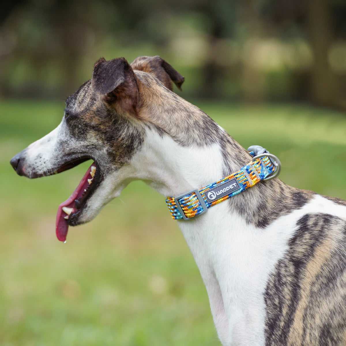 Pet Reflective Collar ,Colorful And Adjustable