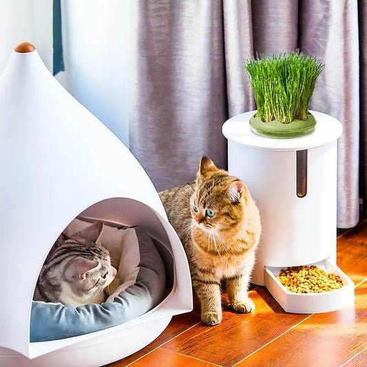 Donut Shaped Cat Grass Growing Box