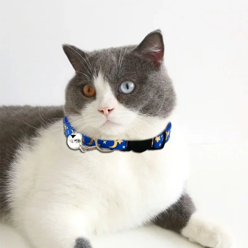 Pet collars with Different Fun Designs