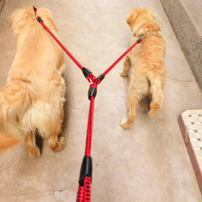 Strong Dual Dog Leash for Two Dogs