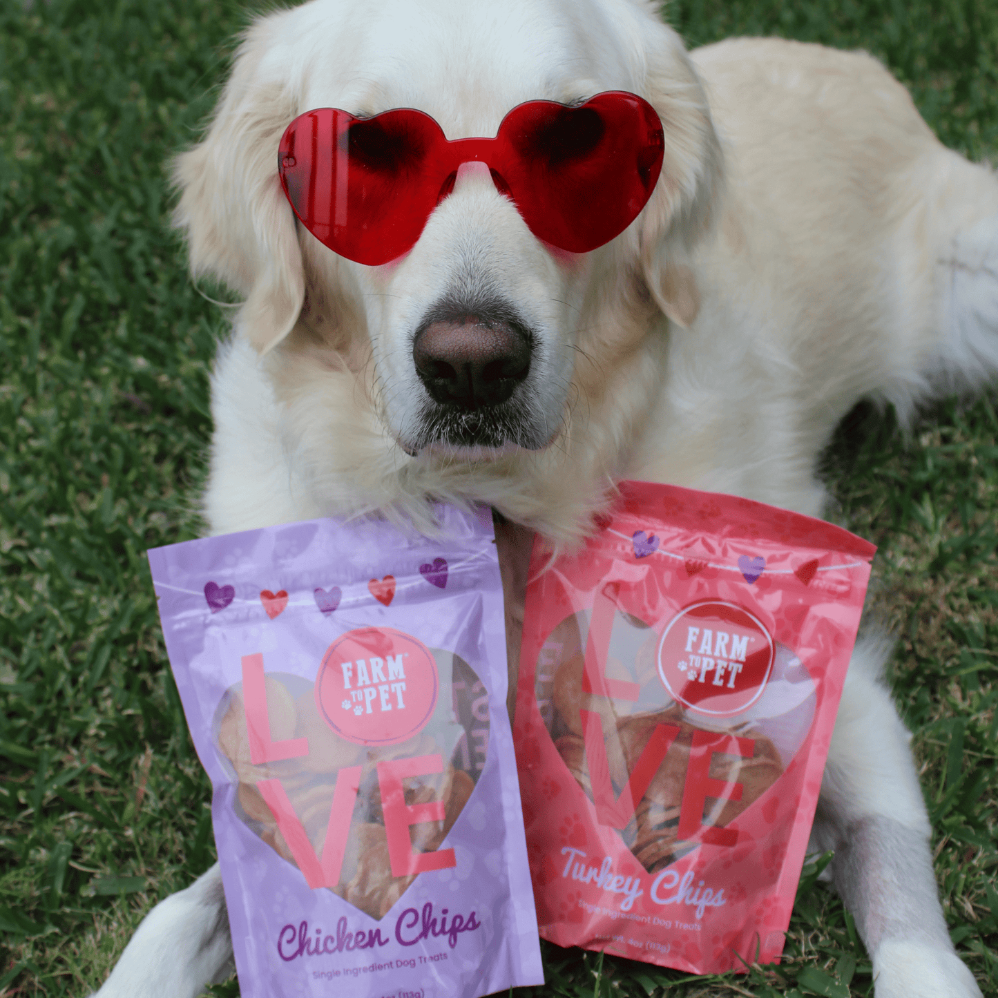 Puppy Love Dog Treat | Poultry Treat Variety Pack