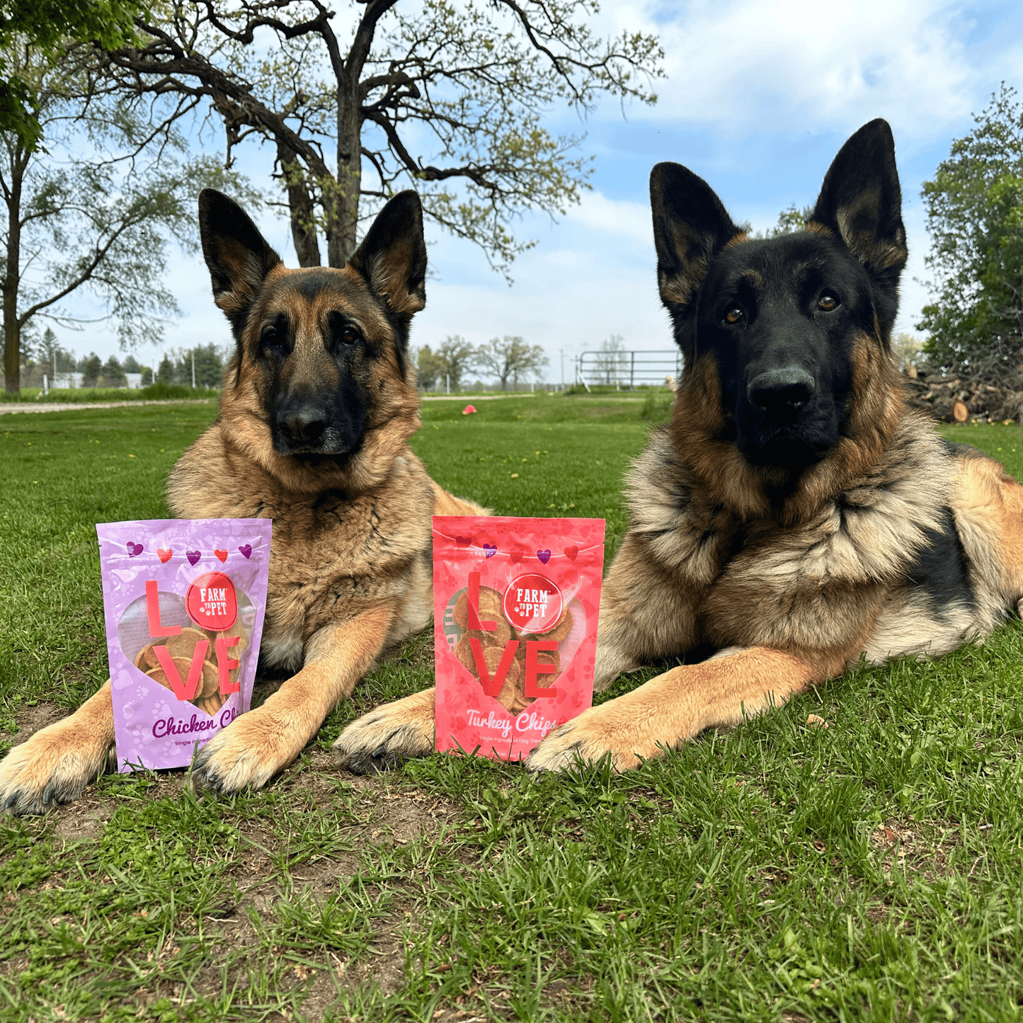 Puppy Love Dog Treat | Poultry Treat Variety Pack