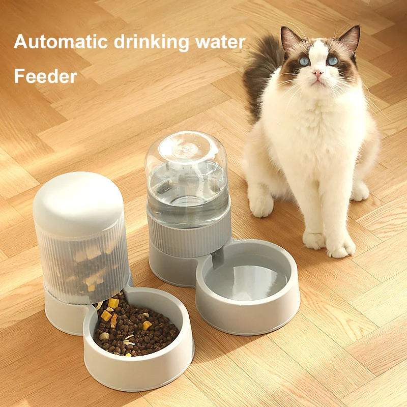 Auto Feeder For Pets