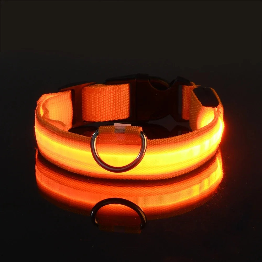 Dog or Cat Collar Nylon LED Night Safety Flashing Glow In The Dark