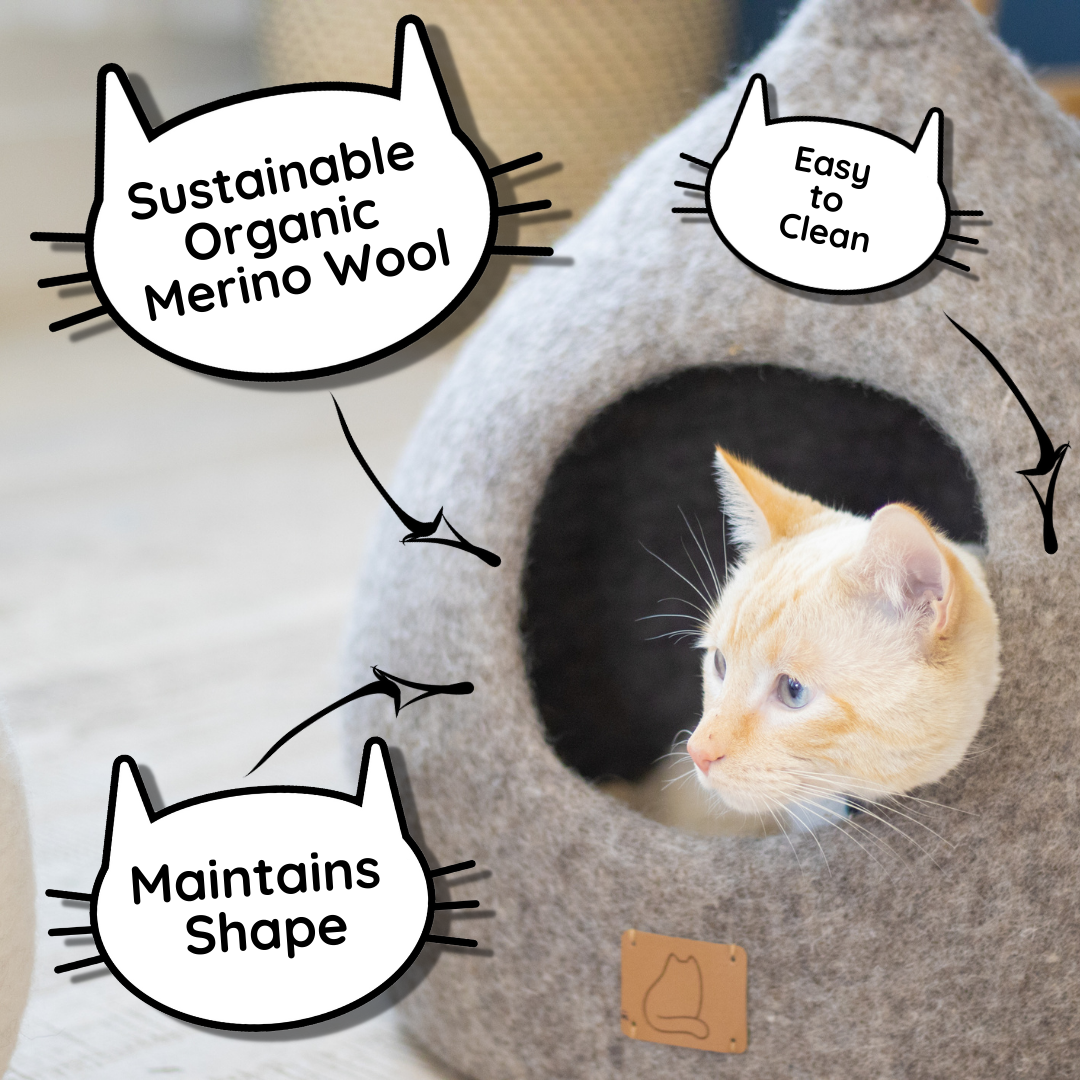#1 Cat Design | Ear Style Cave