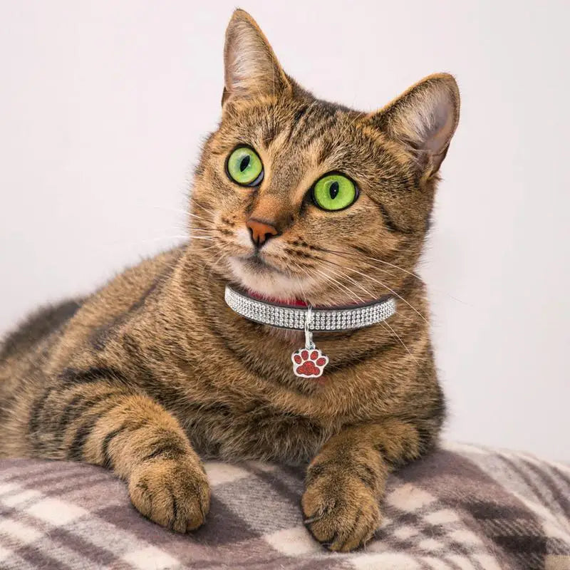 Sparkling Pet Collars With Paw Print Tag