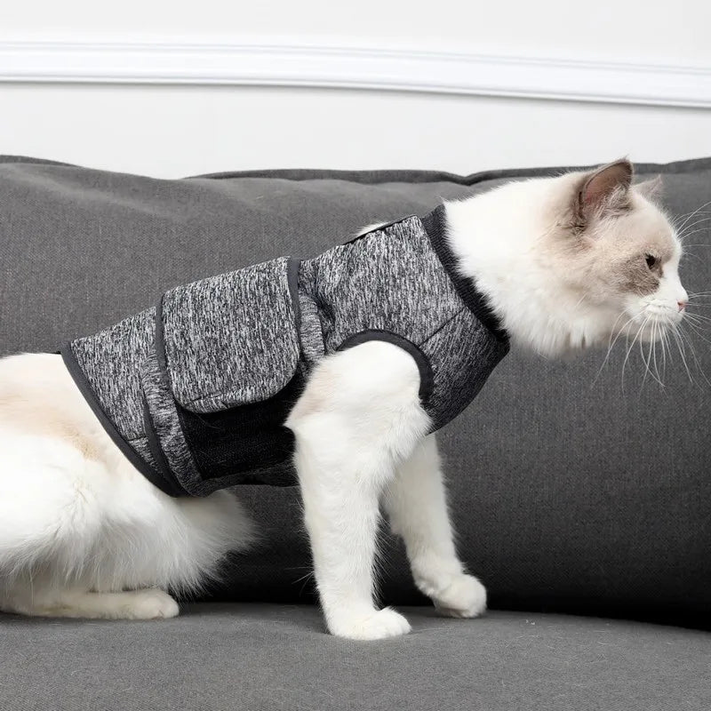 Cat Vest, Post Operative Recovery Suit