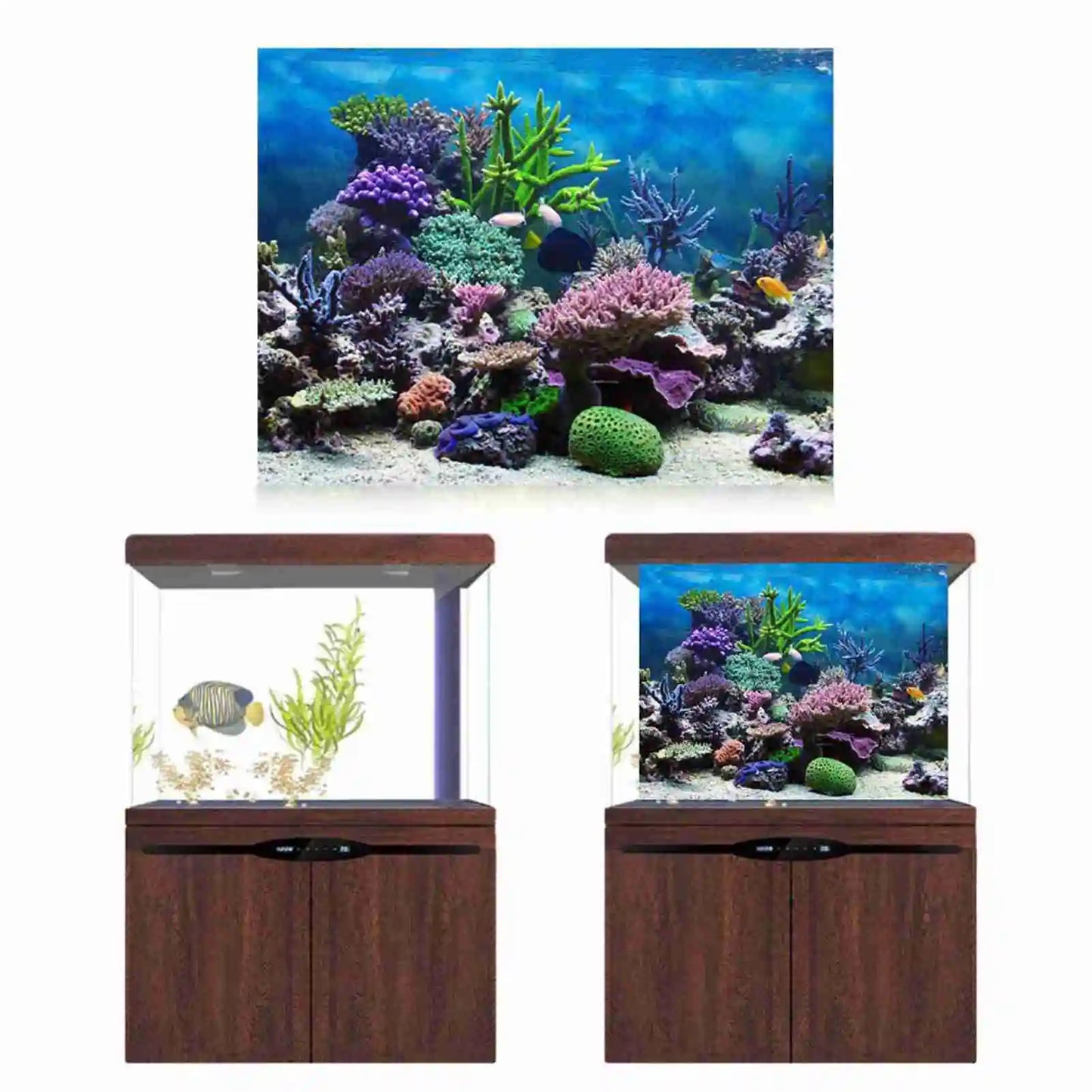 Aquarium Landscape Wallpaper Fish Tank Background