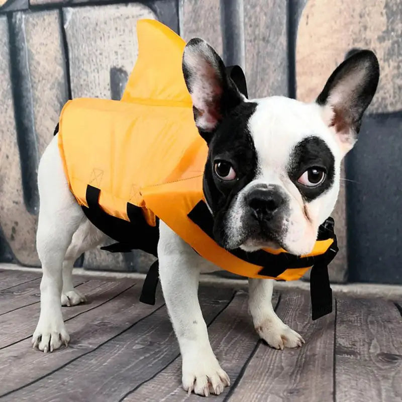 Summer Dog Life Jacket Safety Vest with Handle