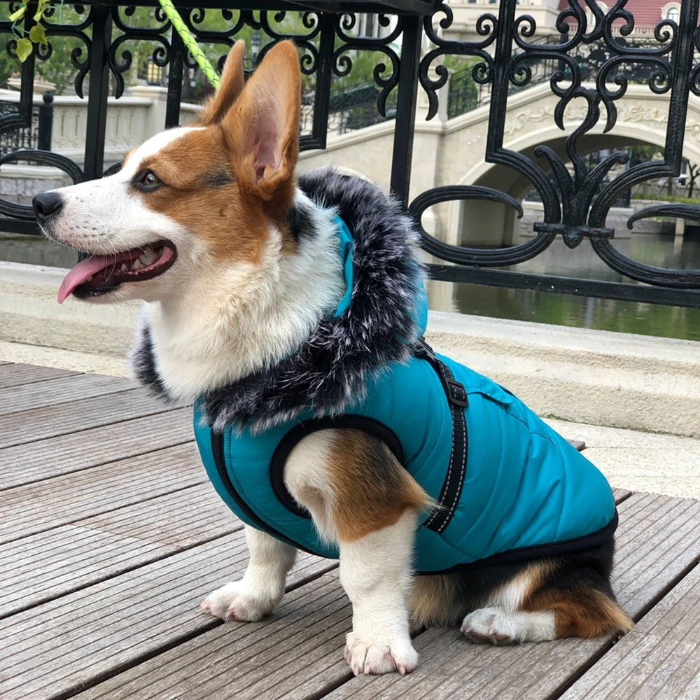 Waterproof Winter Pet Dog Clothes With Harness and Reflective strip