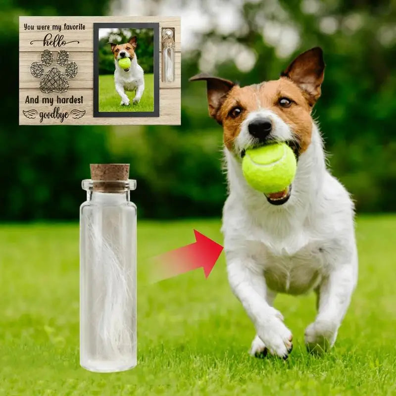 Pet Memorial Picture