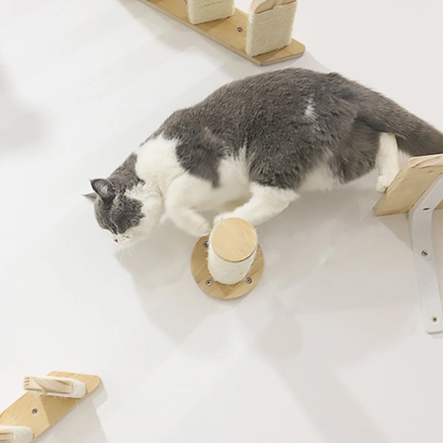 Wall-mounted Cat Hammock And Climbing Home Decor