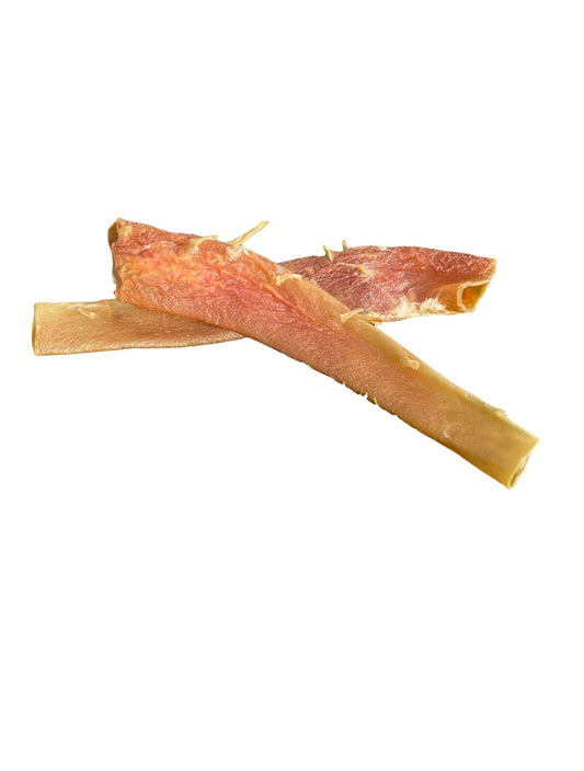 Dehydrated Beef Aorta