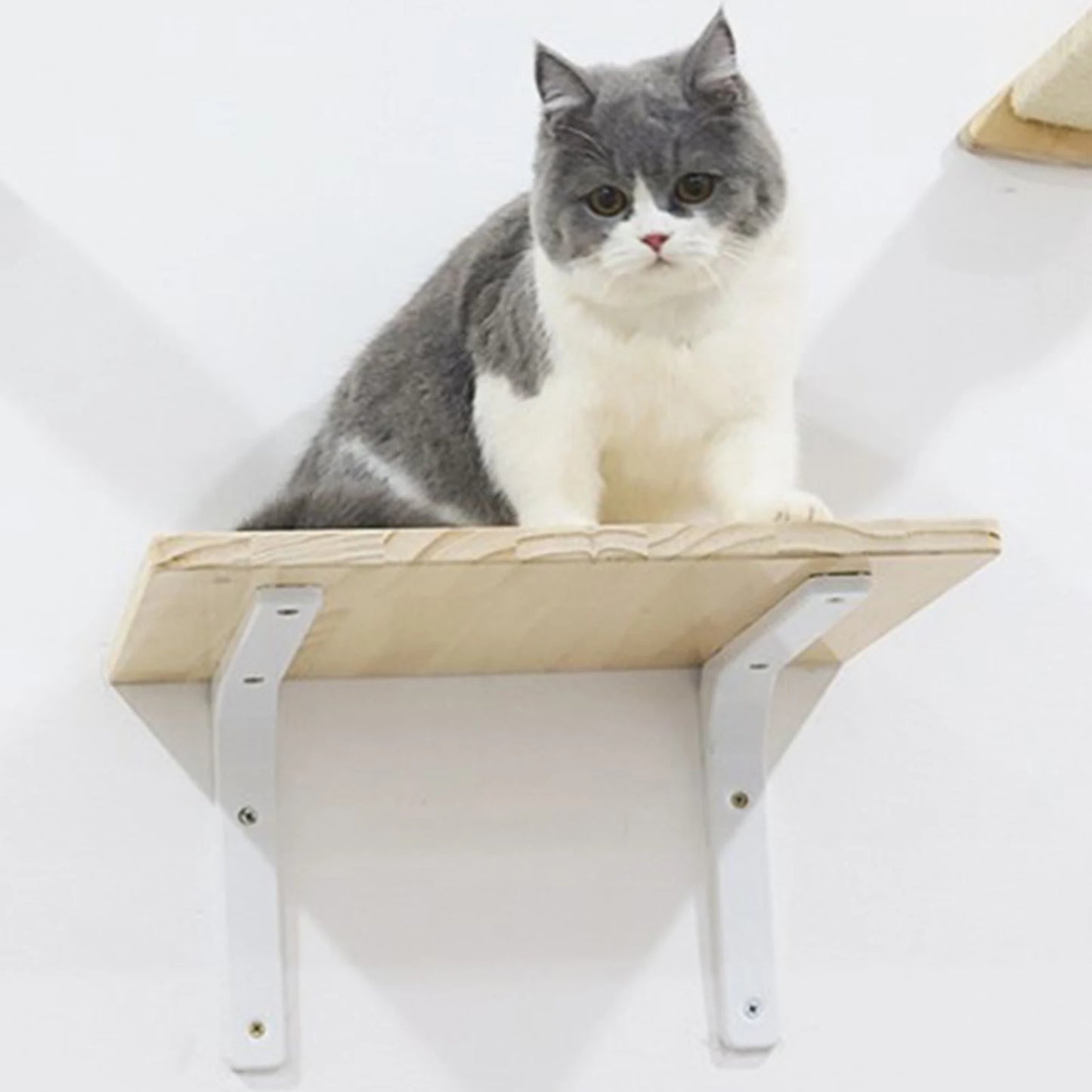 Wall-mounted Cat Hammock And Climbing Home Decor