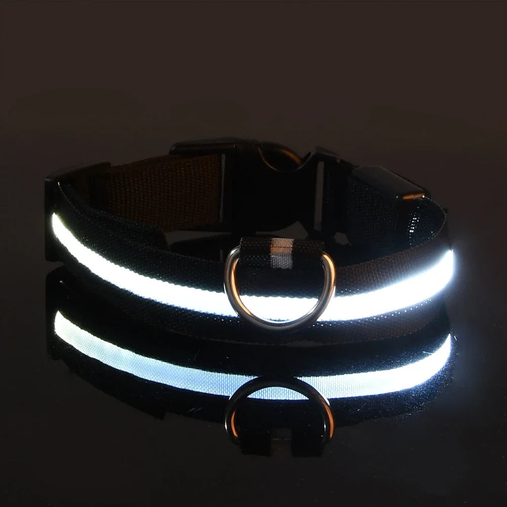 Dog or Cat Collar Nylon LED Night Safety Flashing Glow In The Dark