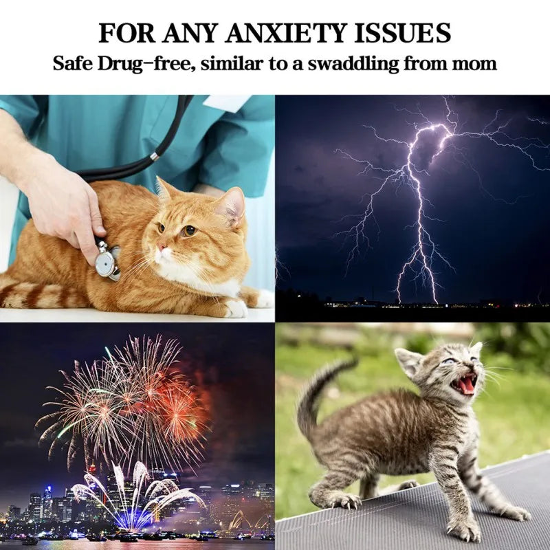 Cat Anxiety Jacket, Thunder, Stress