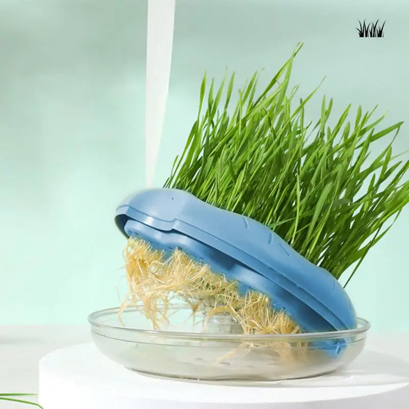 Hydroponic Cat Grass Planter And Growing Tray