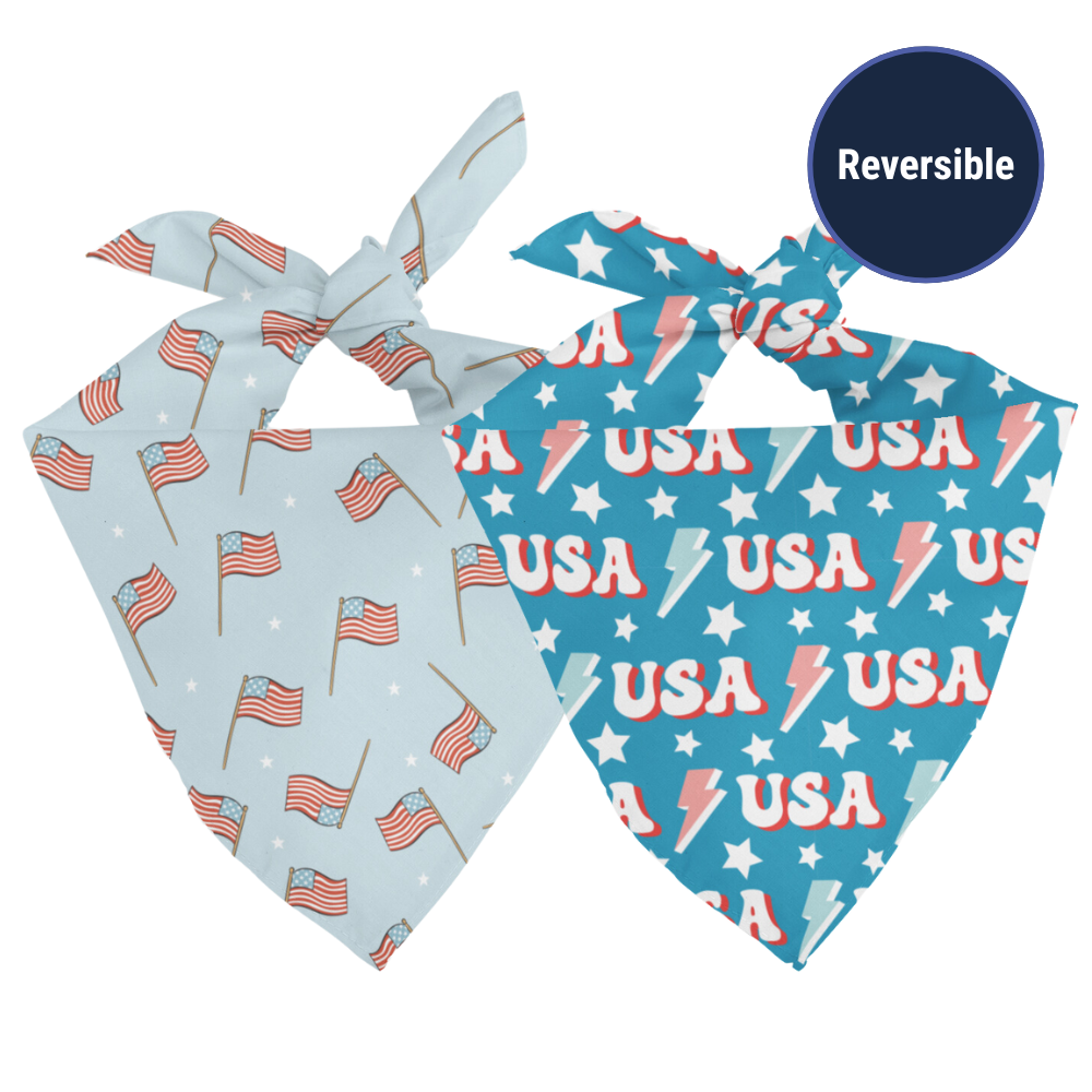 USA Dog Bandana