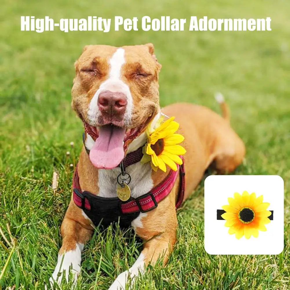 Adjustable Sunflower Pet Collar Accessory Set