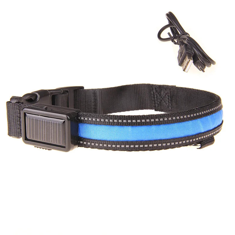 Solar Charging or USB Led Dog Collar - Love My Pet