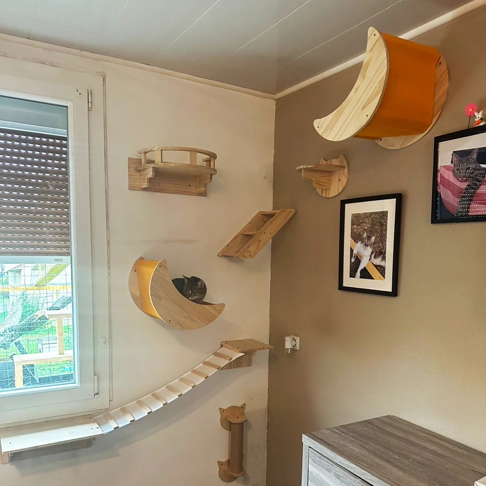 Cat Climbing Shelves, Hammock Bridge with Sisal Ladder