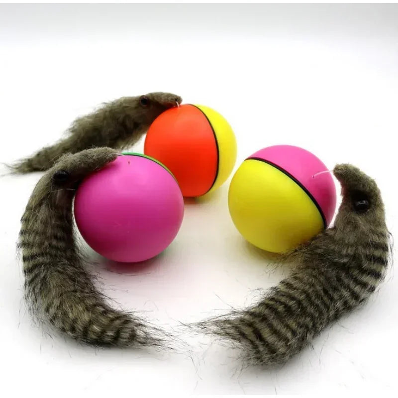 Pet Rolling Play Ball With Chasing Weasel