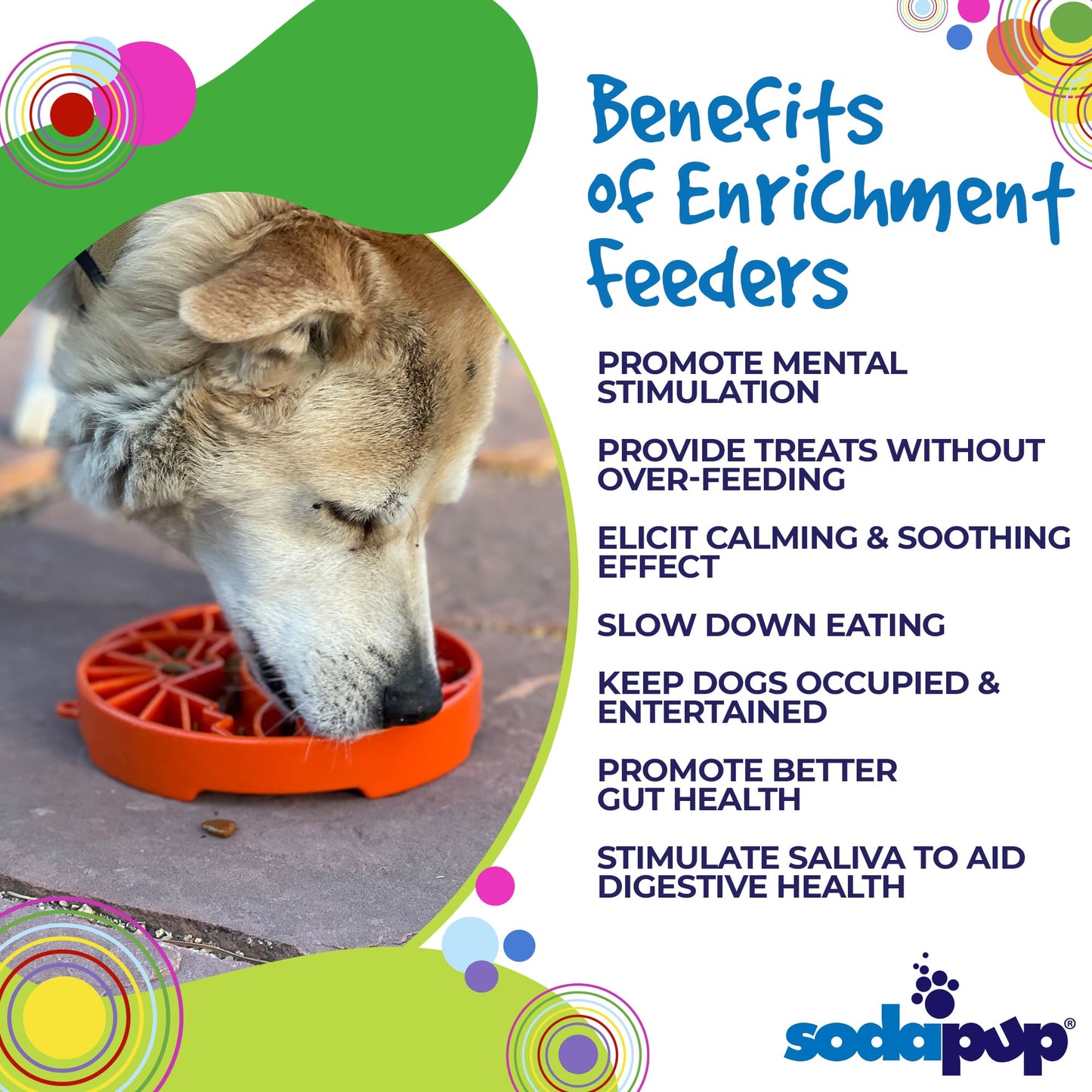 Sun and Moon Design eTray Enrichment Shallow Slow Feeder Dog Bowl