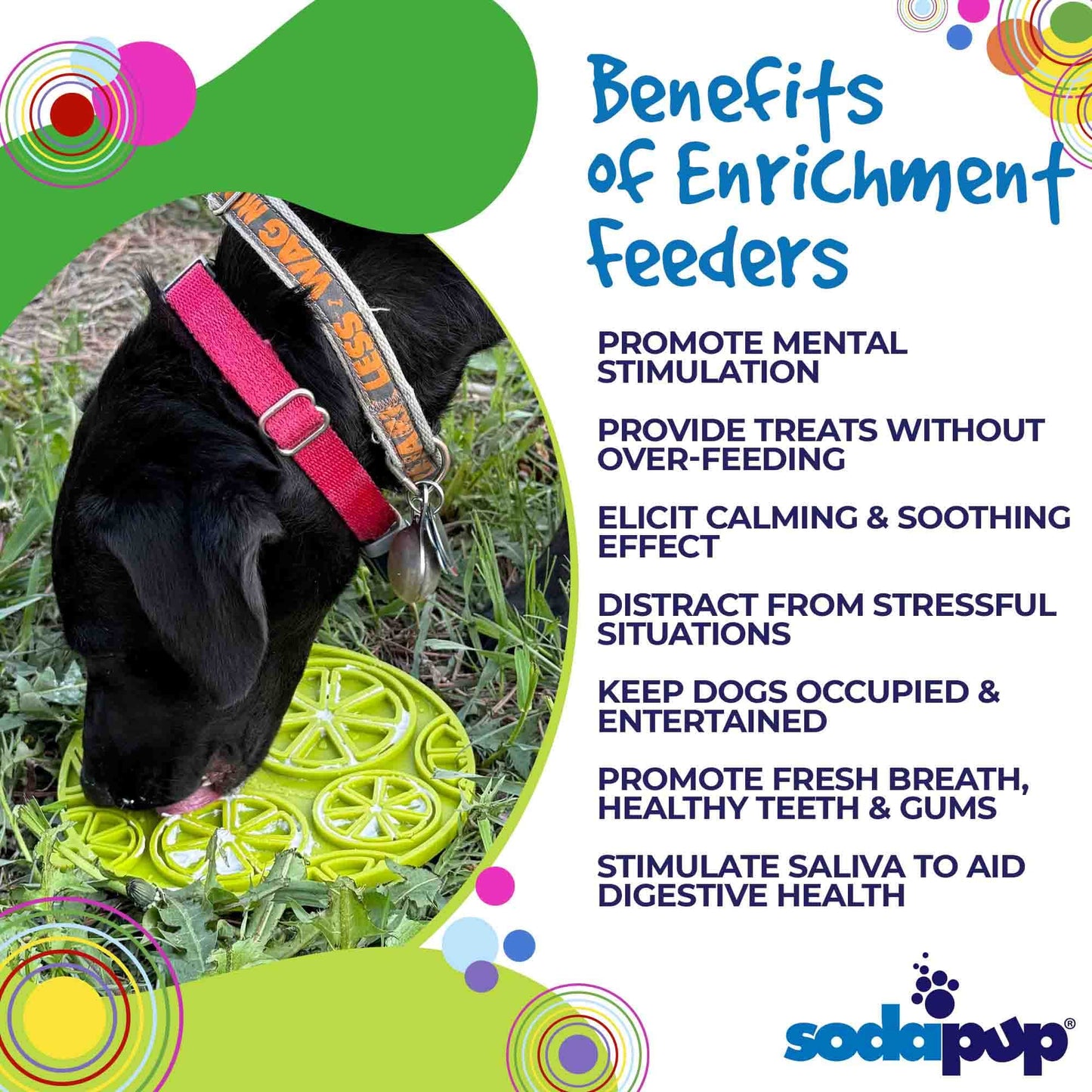 Citrus Design eMat Enrichment Lick Mat With Suction Cups