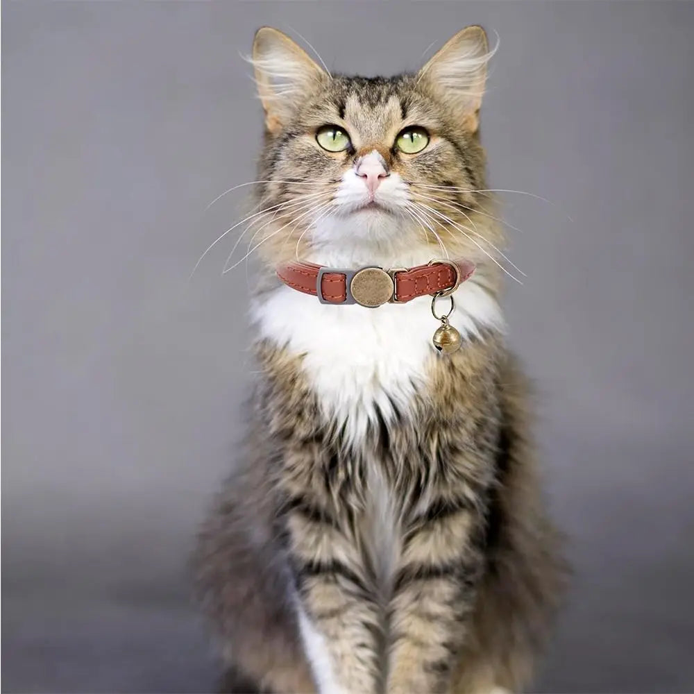 Fashion PU Leather Pet Collar