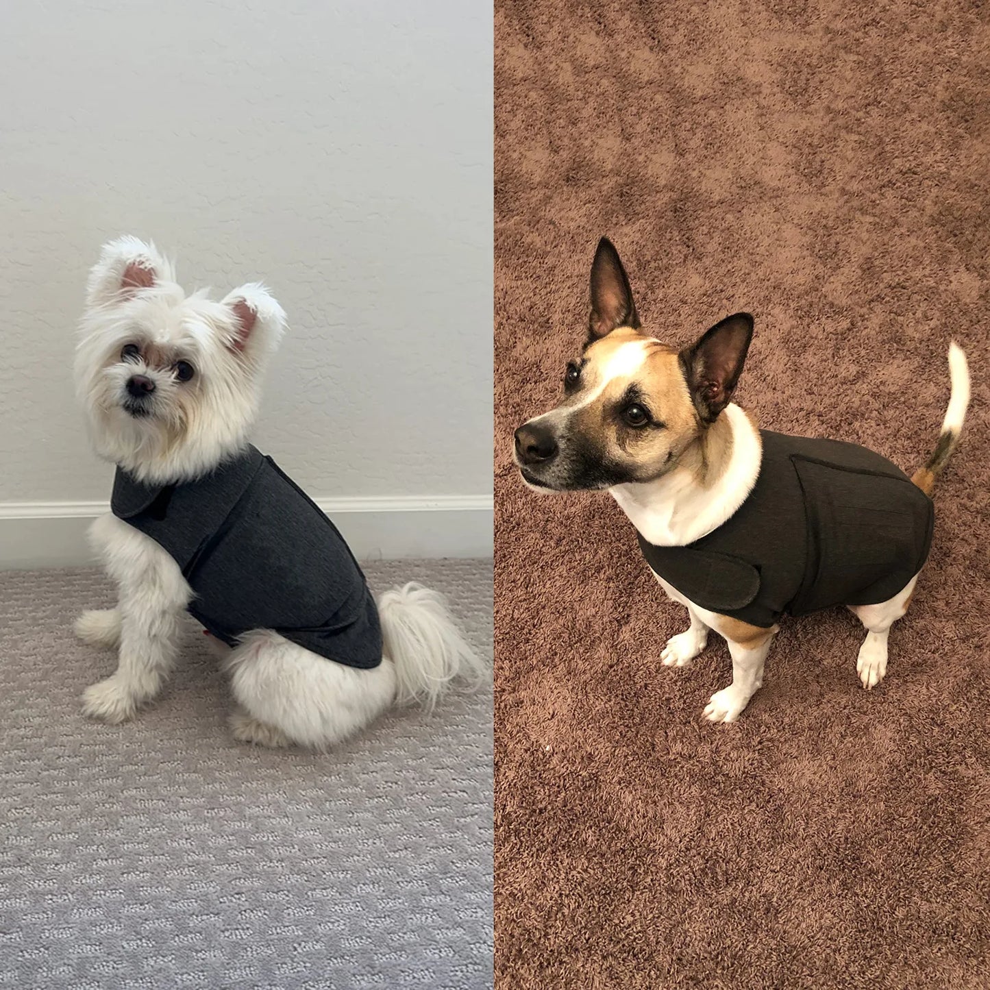 Pet Thunder Stress Anxiety Soft Vest