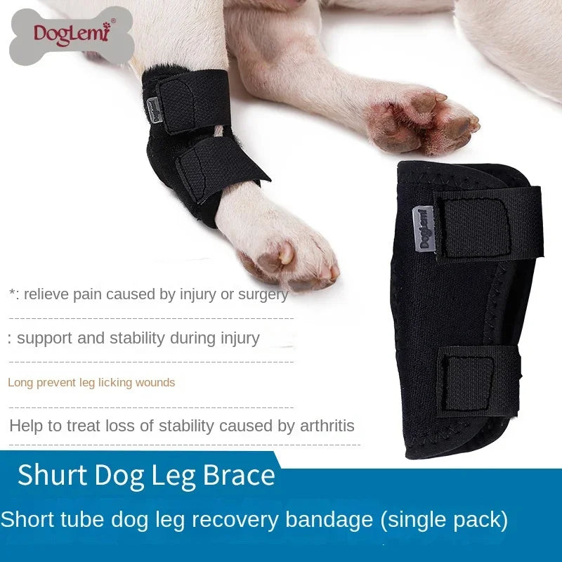 Pet Ankle Brace