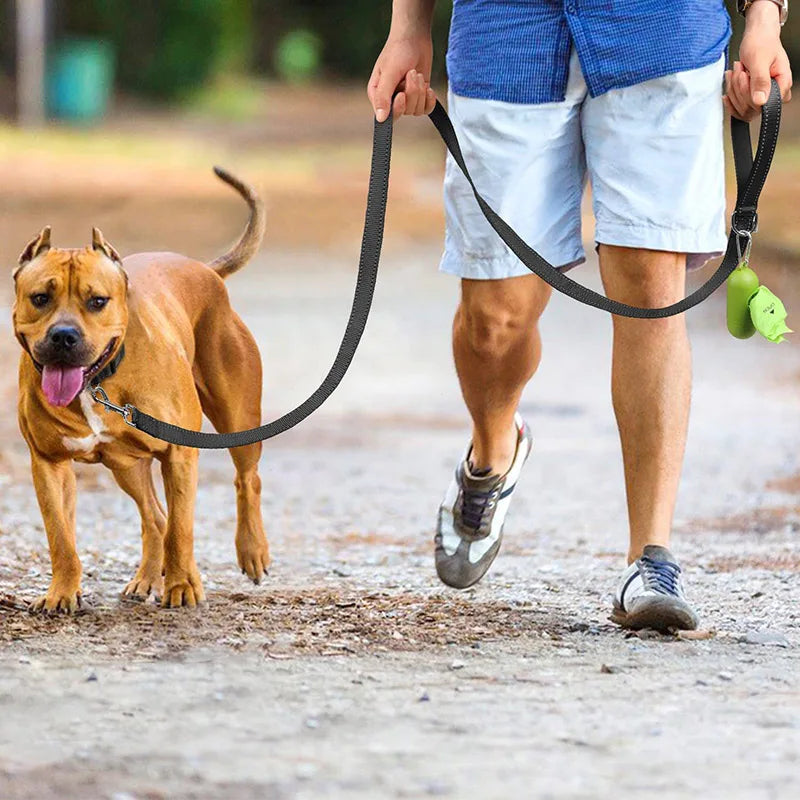 Durable and Reflective Pet Leash