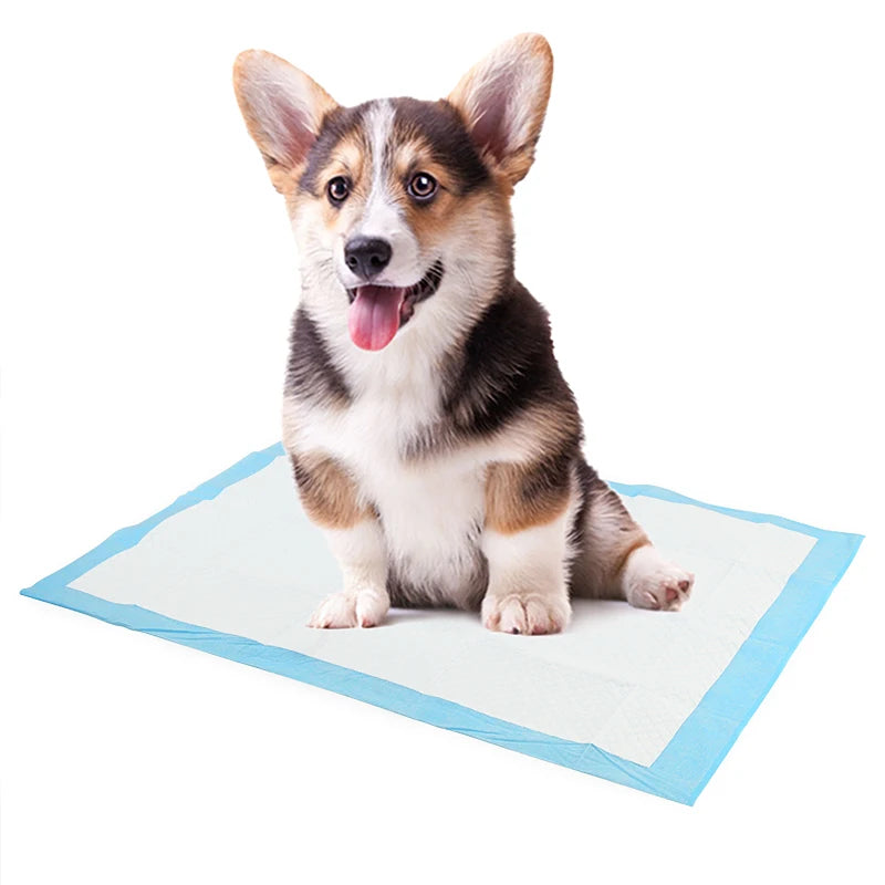 Dog Training Pee Pads Super Absorbent - 100 (sm) 60 (m), 40 (l) - Love My Pet