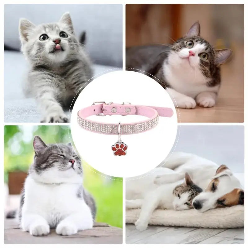 Sparkling Pet Collars With Paw Print Tag