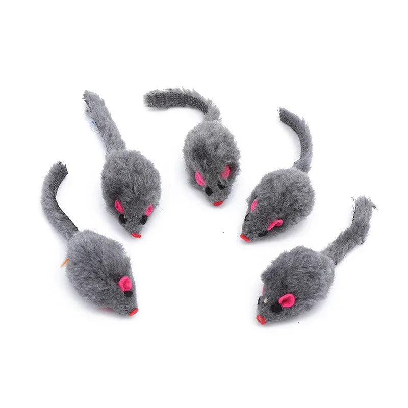 5 Pcs Cat Toys, Creative Mouse Shape Toy - Love My Pet